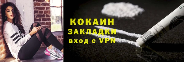 гашик Горняк