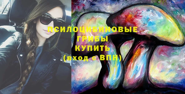 гашик Горняк