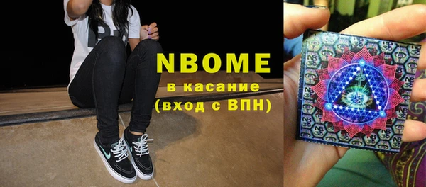 гашик Горняк