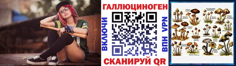 Псилоцибиновые грибы Psilocybine cubensis  Арзамас 