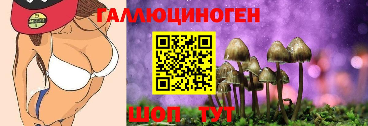 Псилоцибиновые грибы мицелий  Галлюциногенные грибы Psilocybe  Арзамас  Вход с VPN 