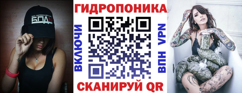 Конопля гибрид Арзамас